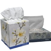 Facial Tissue